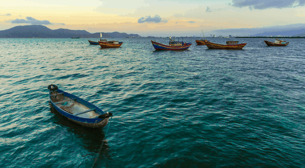 bãi biển Quy Nhơn đẹp