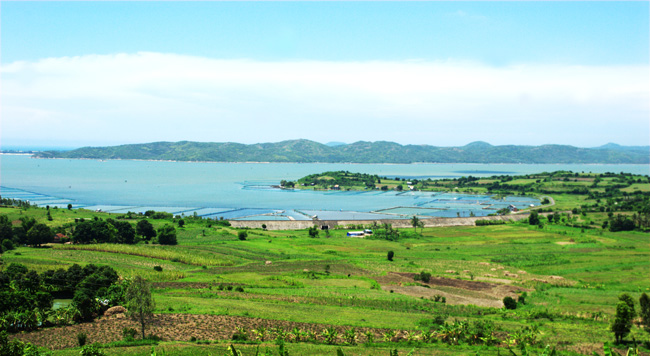 Tour du lịch Phú Yên