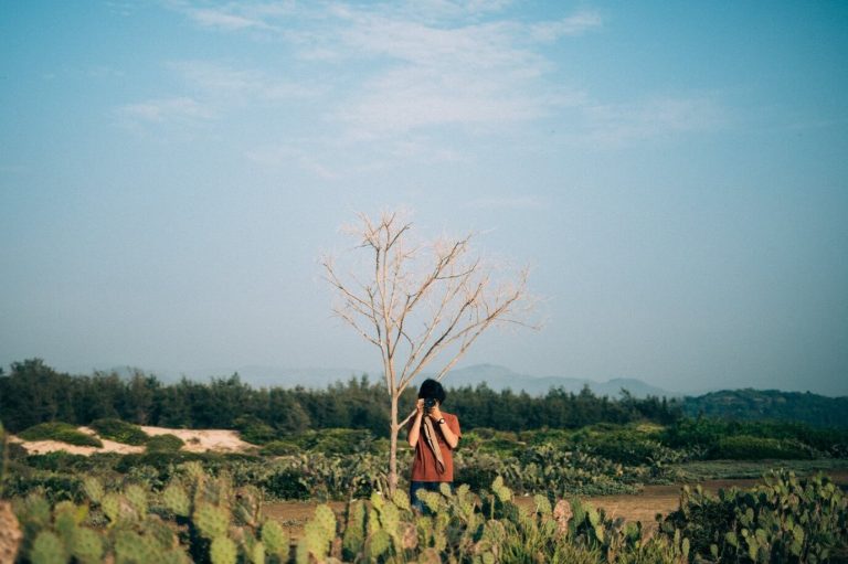 du lịch Tuy Hòa